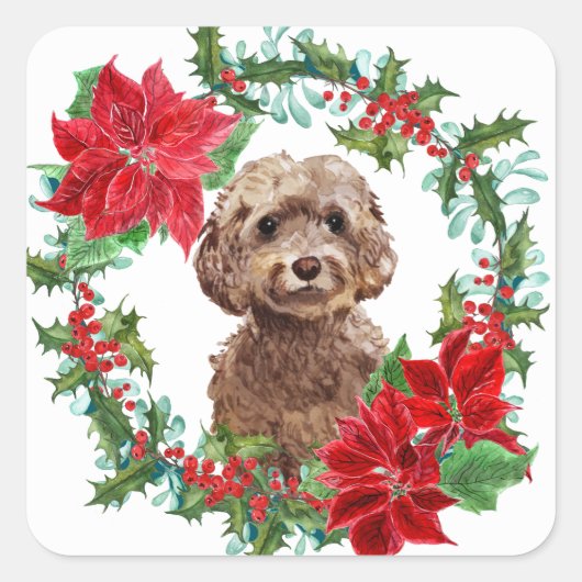Bruine Cockapoo Hond Poinsettia Kerstkrans Vierkante Sticker (Voorkant)