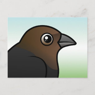 Bruine cowbird briefkaart