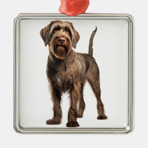 BRUINE DRAADHARIGE WIJZENDE GRIFFON HOND METALEN ORNAMENT