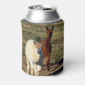 bruine en witte alpaca's, blikjeskoeler (Blikje Achterkant)