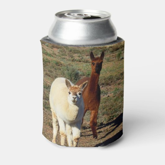 bruine en witte alpaca's, blikjeskoeler (Blikje Achterkant)