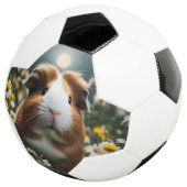 Bruine en witte cavia maan en madeliefjes, voetbal (Drie kwart)