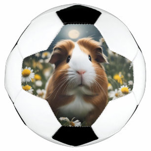 Bruine en witte cavia maan en madeliefjes, voetbal