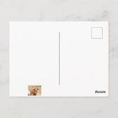 Bruine en witte geit briefkaart (Achterkant)