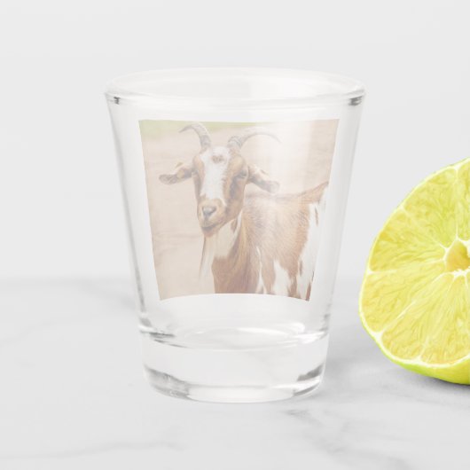 Bruine en witte geit shot glas (Achterkant)