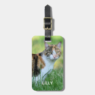 Bruine en witte kat bagagelabel