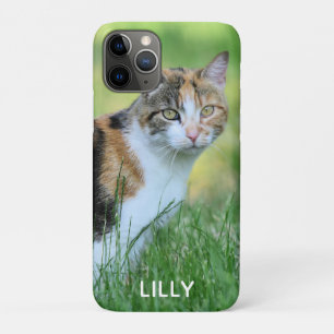 Bruine en witte kat iPhone 11 pro hoesje