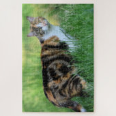 Bruine en witte kat legpuzzel (Verticaal)