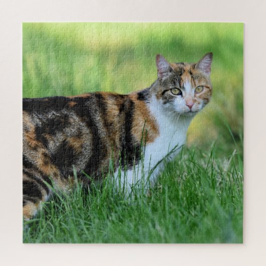 Bruine en witte kat legpuzzel (Verticaal)