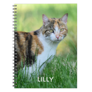 Bruine en witte kat notitieboek
