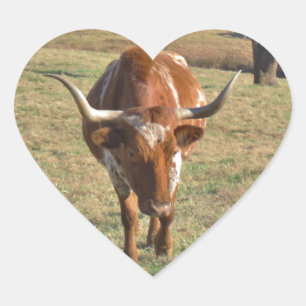 Bruine en witte Longhorn Bull Blue Sky Hart Sticker