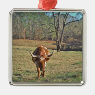 Bruine en witte Longhorn Bull Blue Sky Metalen Ornament