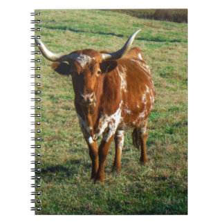 Bruine en witte Longhorn Bull Notitieboek