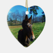 Bruine en witte snuit keramisch ornament (Rechts)