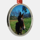 Bruine en witte snuit metalen ornament (Rechts)