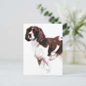 Bruine en witte spanielkaart briefkaart (Staand voorkant)