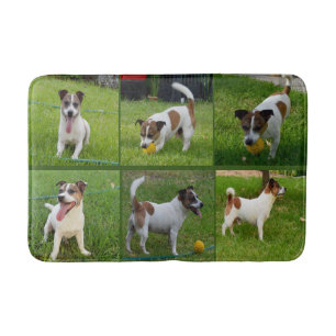 bruine en witte vos terrier Collarge, Badmat
