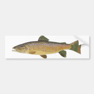 Bruine forel. bumpersticker