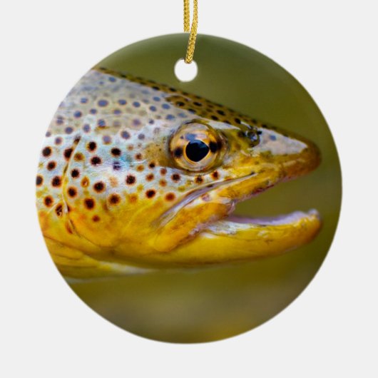 Bruine forel keramisch ornament (Voorkant)
