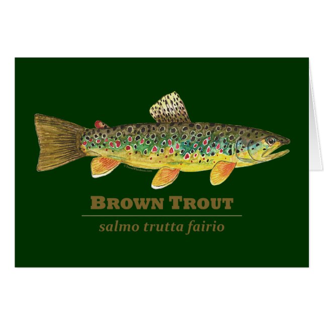 Bruine forel Latijn Ichthyology (Voorkant Horizontaal)