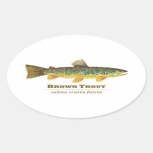 Bruine forel Latijn Ichthyology Ovale Sticker