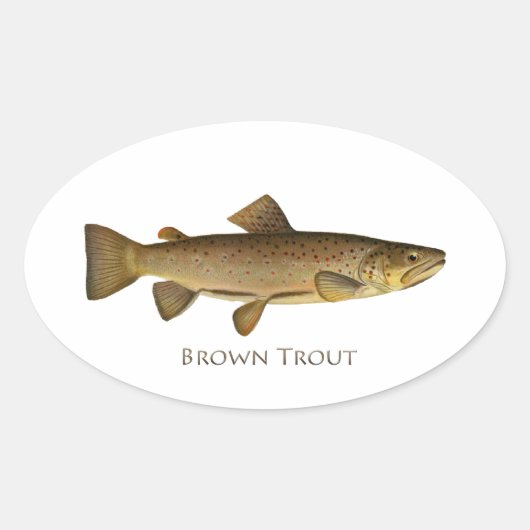 Bruine forel Logo Ovale Sticker (Voorkant)