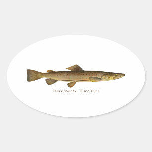 Bruine forel Logo Ovale Sticker