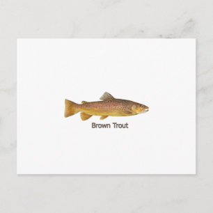Bruine forel (met titel) briefkaart