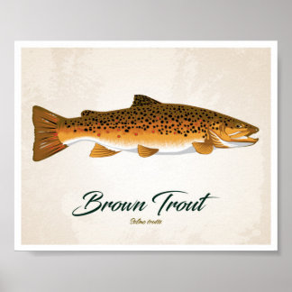 Bruine forel poster