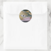 Bruine forel ronde sticker (Tas)