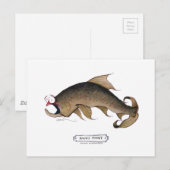 Bruine forelvis, tony fernandes briefkaart (Voorkant / Achterkant)