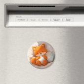 Bruine fox magneet (Insitu (Vaatwasser))