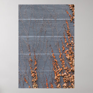 Bruine gedroogde bladeren op water poster