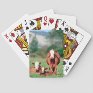 Bruine harefaalvee pokerkaarten
