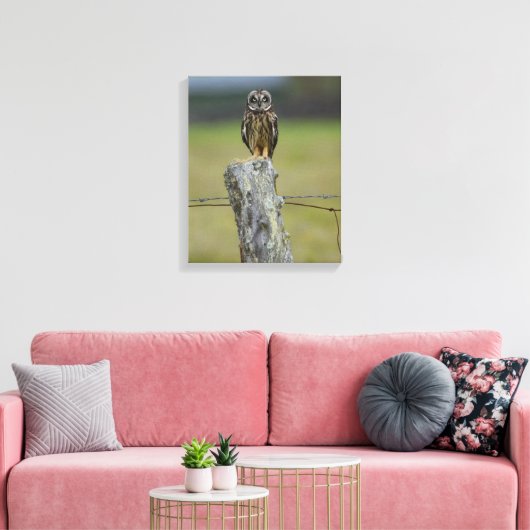 Bruine Hawaïaanse Uil Zittend op een Hek Post Canvas Afdruk (Insitu (Woonkamer))