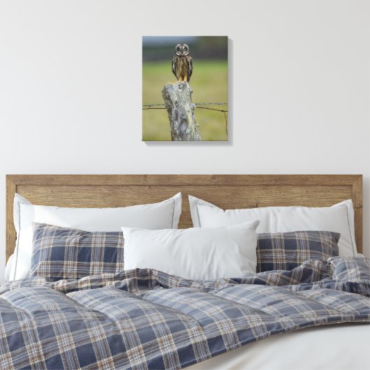 Bruine Hawaïaanse Uil Zittend op een Hek Post Canvas Afdruk (Insitu (Slaapkamer))