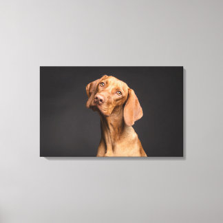 Bruine Hond met Lange Hals Canvas Afdruk