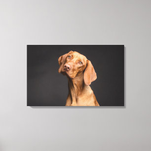 Bruine hond met lange nek canvas afdruk