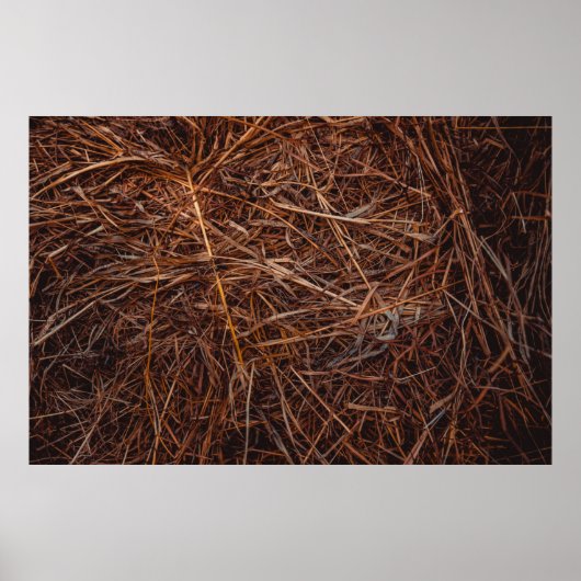 Bruine hooi poster (Voorkant)
