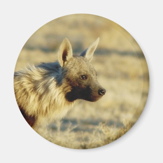 Bruine hyena wildlife magneten (Voorkant)