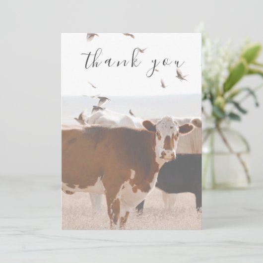 Bruine Koe en vogels land plat dank u kaart (Staand voorkant)