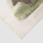 Bruine Koe Ephemera Decoupage Boerderij Weefsel P Tissuepapier (Detail)