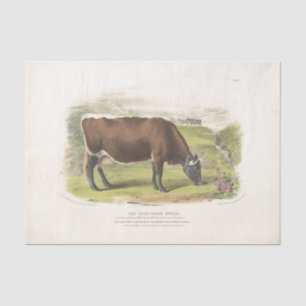 Bruine Koe Grazing Ephemera Decoupage Boerderij Tissuepapier