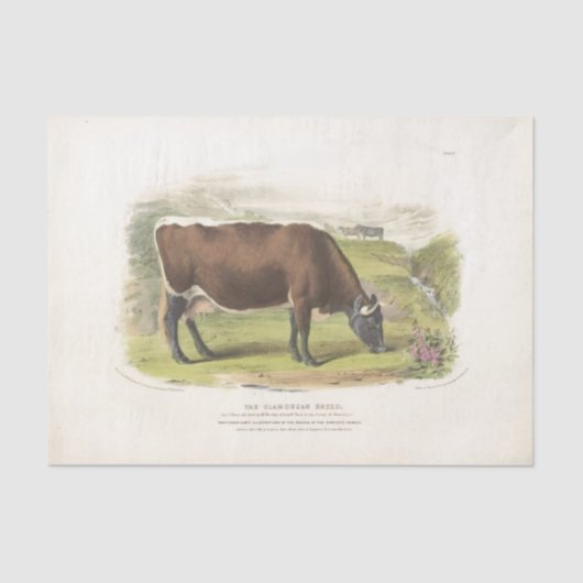 Bruine Koe Grazing Ephemera Decoupage Boerderij Tissuepapier (Voorkant)