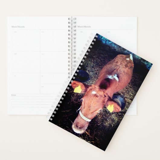 Bruine koe planner (Display)