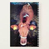 Bruine koe planner (Achterkant)