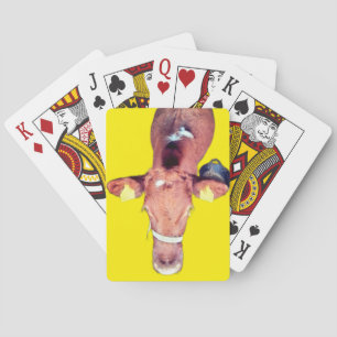 Bruine koe pokerkaarten