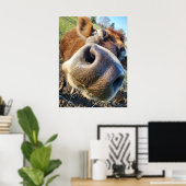 Bruine Koe Super Close-up Poster (Thuiskantoor)