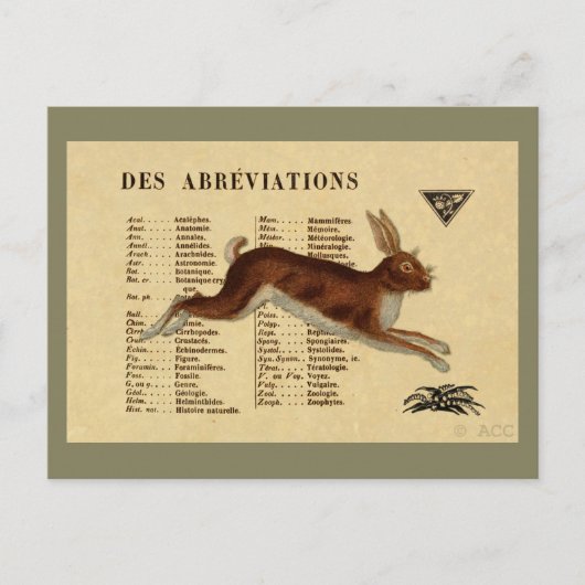 Bruine konijn briefkaart (Voorkant)