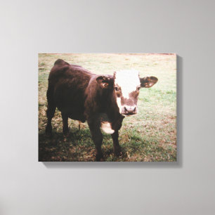 Bruine Kremige Koe Canvas Afdruk